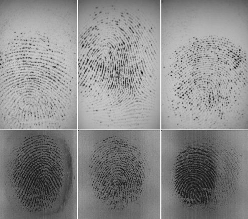 Segmentation Challenges Low quality fingerprint images results from inconsistent pressure, unclean skin surface, skin condition (wet/dry), low senor sensitivity and dirty scanner surface It is