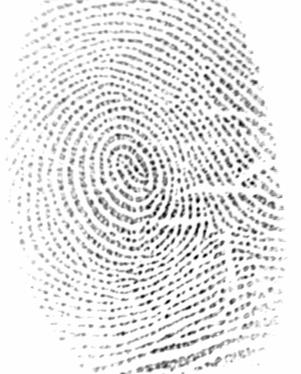 Challenges A fingerprint image usually consists of pseudo-parallel ridge regions and highcurvature regions around core point and/or delta points It is challenging to classify a fingerprint image