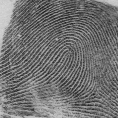 Background (cont.) Fingerprint Representations Image-based: preserves max.