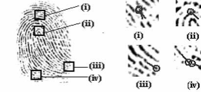 Heuristic Fingerprint Minutiae Filtering Feature Extraction errors Missing minutiae Spurious minutiae Boundary minutiae Spurious minutia can be removed using post processing Heuristic rules: 1.
