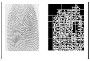 289 Figure 3: Fingerprint Image and granules obtained by quad tree decomposition. B.