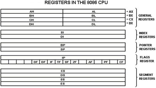 BACKGROUND 8086 CPU has 8 general purpose registers listed below: AX - the accumulator register (divided into AH / AL): 1. Generates shortest machine code 2. Arithmetic, logic and data transfer 3.
