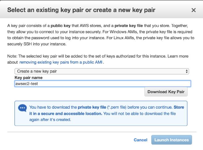 Step 5: Add Tags For the tags it s not a requirement to establish any tags so you don t have to assign them but it may help you manage your instances on Amazon but if you would like more information