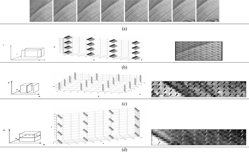 3814 IEEE TRANSACTIONS ON IMAGE PROCESSING, VOL. 15, NO. 12, DECEMBER 2006 Fig. 1. Three types of SPREF fields for a gof that has a global motion along the diagonal.