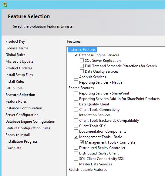 17. On the Feature Selection screen, under the Features menu, ensure the following options are selected, and then click Next.