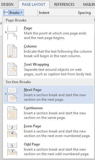 Select the appropriate option from the list (unless you require different sections within the same page e.g. part of a page in columns, use the NEXT PAGE option).