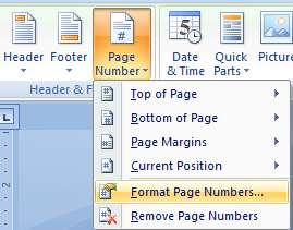 The Page Number Format dialog box opens: 12.