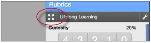 Instructors can use the expanded rubric scorecard to grade papers in GradeMark. The expanded rubric opens a new window displaying the rubric cell descriptions.