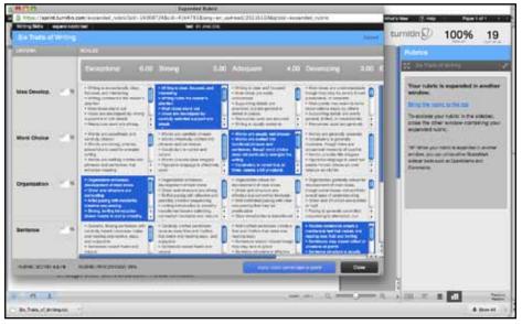 document viewer. To view the expanded rubric within another window, from the rubric sidebar click on the expand rubric icon.