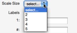 3. Select the scale size. The highest scale value is 5 4. Enter in the labels for the scale in the appropriate fields.
