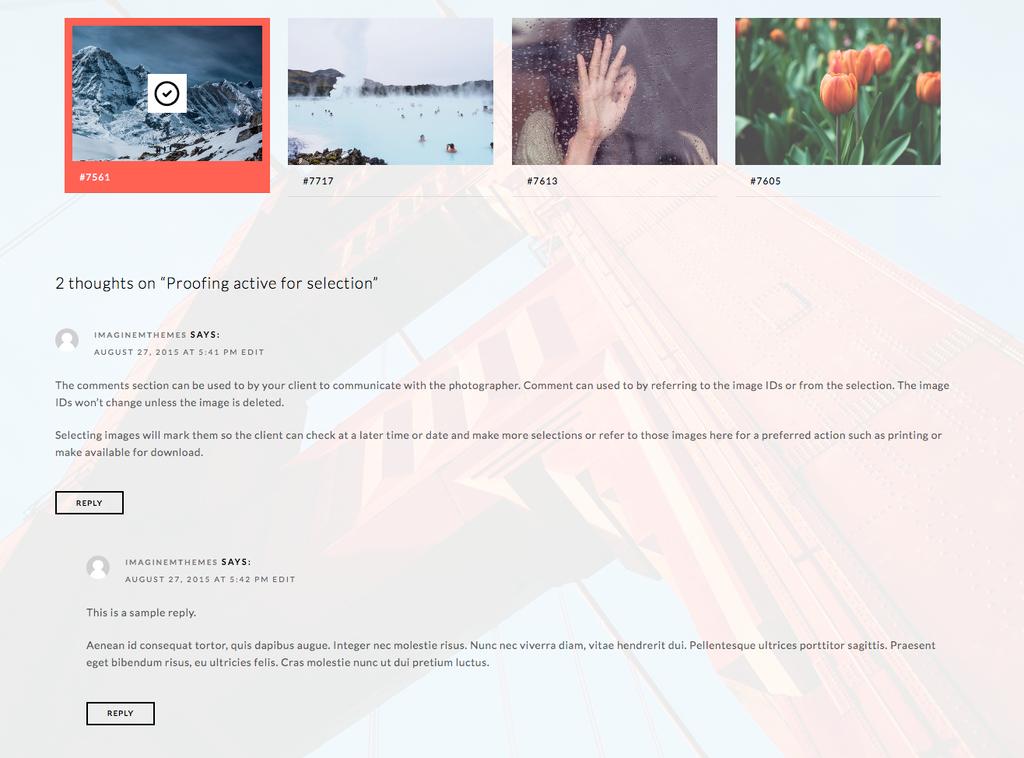 KINETIKA Photo Proofing - Communication for WordPress Comments section for discussion of