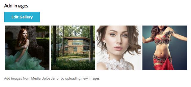 Fullscreen Slideshow - Page Settings SAVED GALLERY: Saved galleries will appear under the add images section.