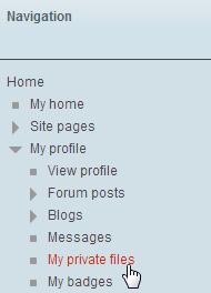 My Profile Your LearnMate profile tells other users a little about you. It also specifies your preferences for how LearnMate should work.
