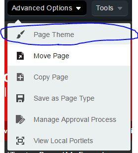 Adding a Theme After clicking Advanced Options, this will pop up.