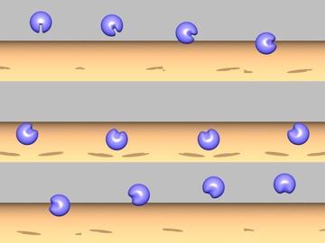 Water and Smoke to Thin Deformable and Rigid