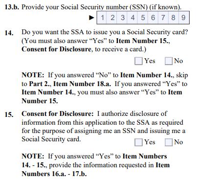 If you have been issued an SSN, type your number ensuring there is only one number in each