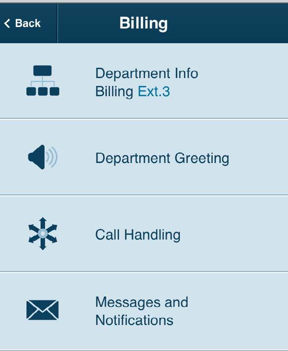 Select the action to take when incoming calls match this rule: Forward Calls: Then set custom Call Screening, Call Forwarding, or Messages handling for these calls.