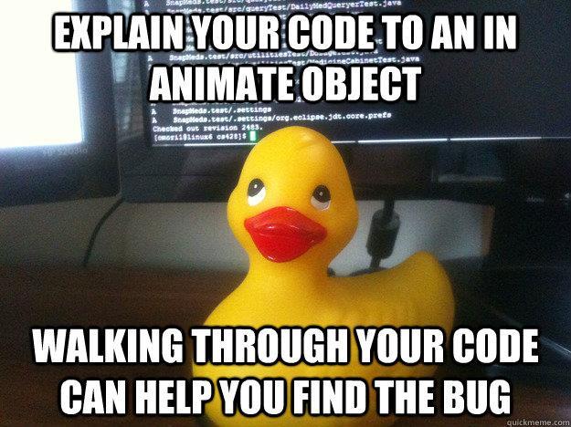 12 Step 1: Review your Own Code Rubber Duck Debugging: Reference from an anecdote from a book, "The Pragmatic Programmer", that has