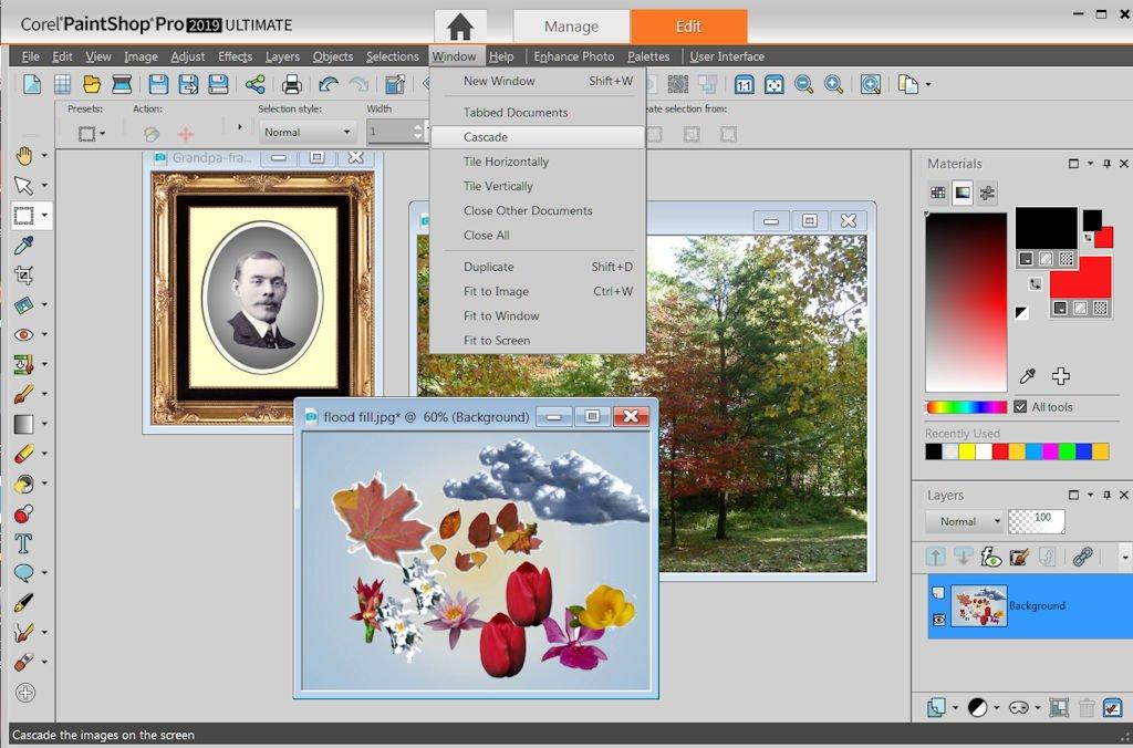 Paint Shop Pro Window Display Options Early in this tutorial you set the Paint Shop Pro window to display tabbed documents. There are other display options available.