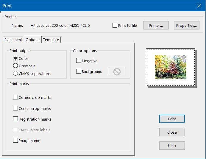 Select the Print tool This opens the Print dialog box. You can select a printer from those installed on your system by clicking the Printer button.