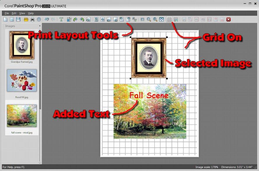 Beginning Paint Shop Pro 2019 There are a number of layout tools available when an image is selected. A grid can be turned on to help align images. There is an option for adding text to the layout.