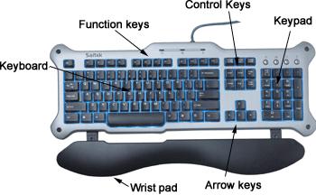 Keyboard The most common input device, used to enter letters, numbers,