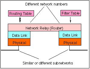 Router A router is an Intermediate System (IS) which operates at the network layer of the OSI reference model.