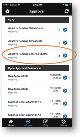 Assign Expense Entries within Paramount WorkPlace (continued) After your Expense transaction is assigned to Expense Sheet, it will be removed from the Mobile Device on the next sync.