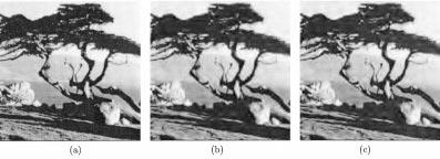 FAN AND CHAM: EDGE RECONSTRUCTION FOR WAVELET-COMPRESSED IMAGES 131 Fig. 13. Result for Tree (256 2 256, 8 bpp). (a) Original image. (b) Coded image (25.78 bpp, 0.25 bpp). (c) Reconstructed image (26.