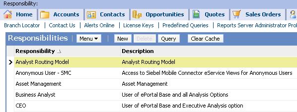 Seed Responsibilities Are a set of responsibilities provided with the Siebel application 12-13 Created during application installation Cannot be modified or deleted May be copied to create new,