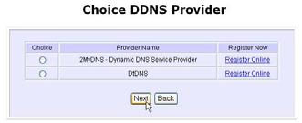 The Choice DDNS Provider page appears. There are two default providers that you can use.