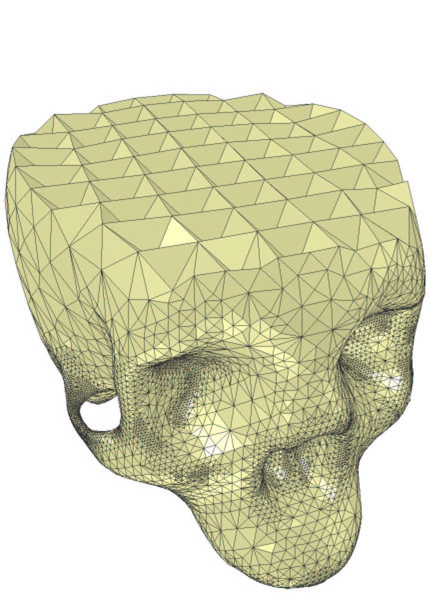 robustness that we anticipate will allow better three-dimensional mesh generation in the future.