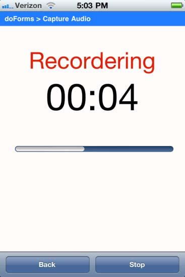 Use the Record, Play and Stop buttons to record and review the audio.