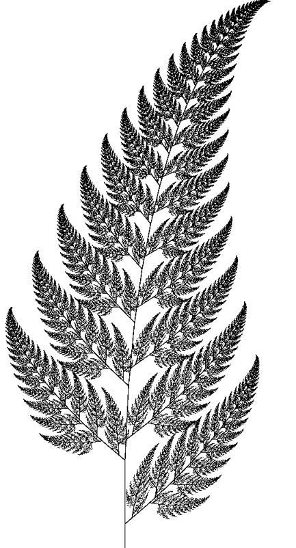 Figure 1 The fern leaf is a typical fractal, which is self-similar at all scales. 4.