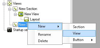 A section is part of the client configuration which contains multiple views.