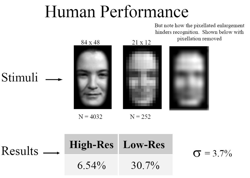 Gender perception experiment: How well can humans do?