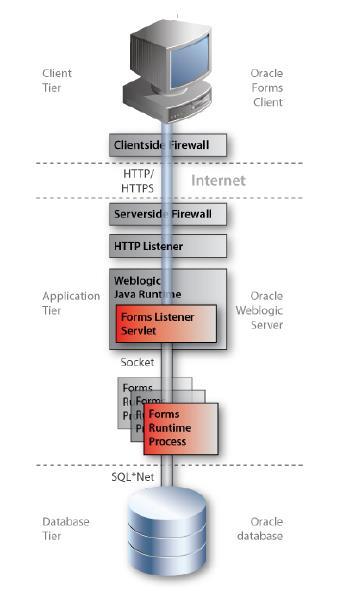 Connection process overview In the Oracle Fusion Middleware Forms Services architecture there is only one connection between the client and the HTTP Listener, much like any web-based application.