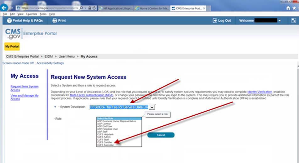 Figure 2-17: Request New System Access System Description and Role Page 8.