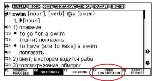 Verb Conjugation