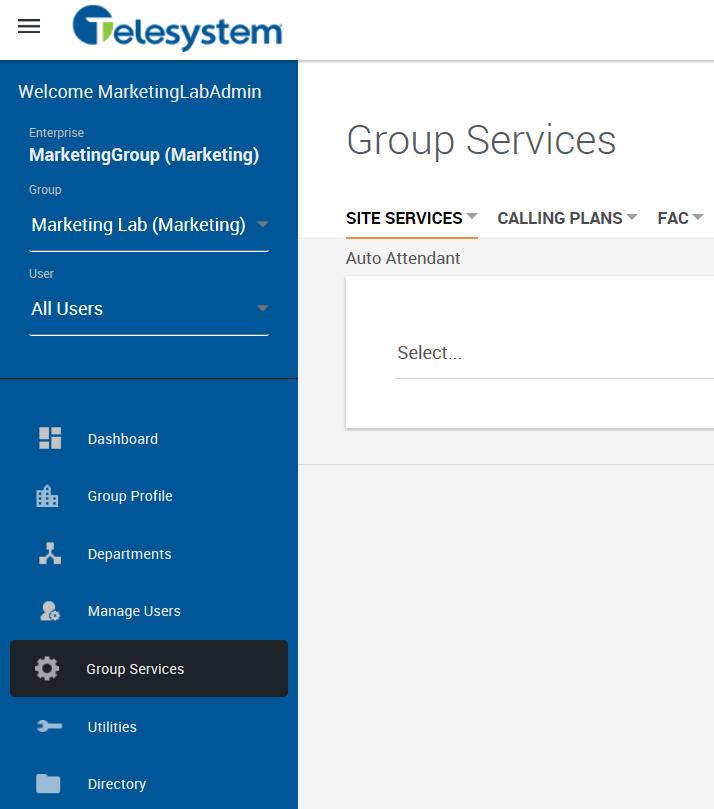 6.2 Navigating to the Group Services Call Centers Once you have entered the Group Level Administration Portal, click the Group Services tab.