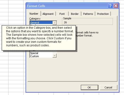 PAGE 11 - ECDL MODULE 4 (USING MICROSOFT EXCEL XP) - MANUAL To use 'what is this' Help within a dialog box Within many dialog boxes, you will see a question mark icon in the top-right of the dialog