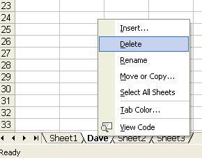 You can then type over the default worksheet name, which will become highlighted.