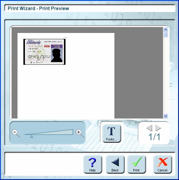 Printing Print Preview Figure 10-3: Print Preview screen