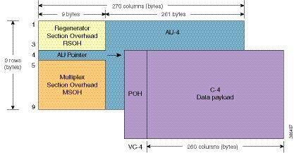 VC the Administrative Unit (AU). Carried within the VC capacity, which has its own frame structure of nine rows and 261 columns, is the Path Overhead and the Container.