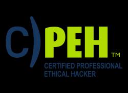 Information System Owners Analysts Ethical Hackers ISSO s Cyber Security Managers IT Engineer The vendor neutral Certified Vulnerability Assessorcertification course helps students understand the