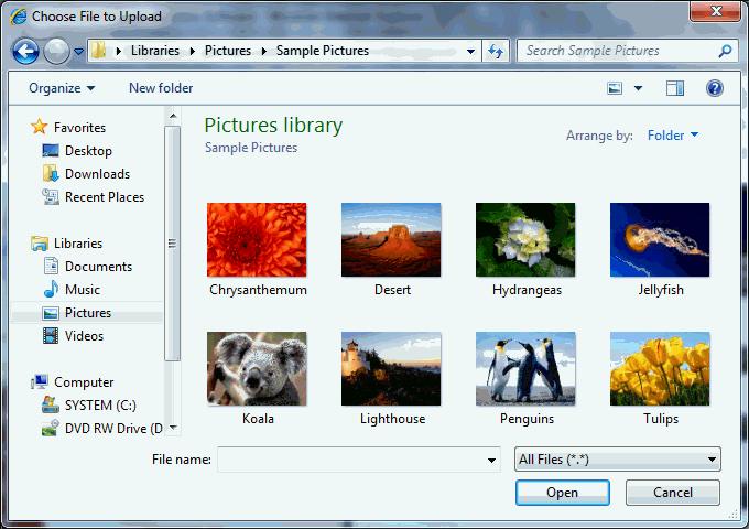 Printed Documentation Choose an image and select the Upload button to upload the image to the web. This process can also be followed to upload files and content pages to the web.