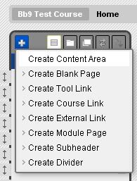 ) Create Blank Page adds a page for creating and displaying html content Create Tool Link adds a link to a course specific tool, such as a blog or discussion board Create Course Link adds a link to