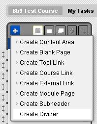 Adding a Divider to the menu: 2. Click the plus sign at the top of the course menu and select Create Divider.