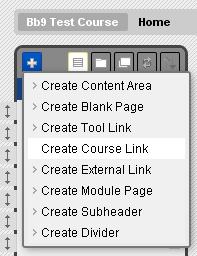 select Create Course Link. 3.