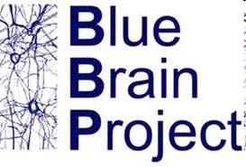 Example of Computational Demand Project: Blue Brain Aim: construct a